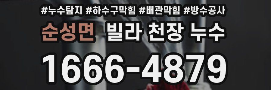 순성면 빌라 천장 누수