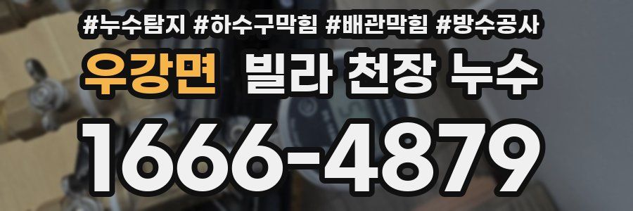 우강면 빌라 천장 누수