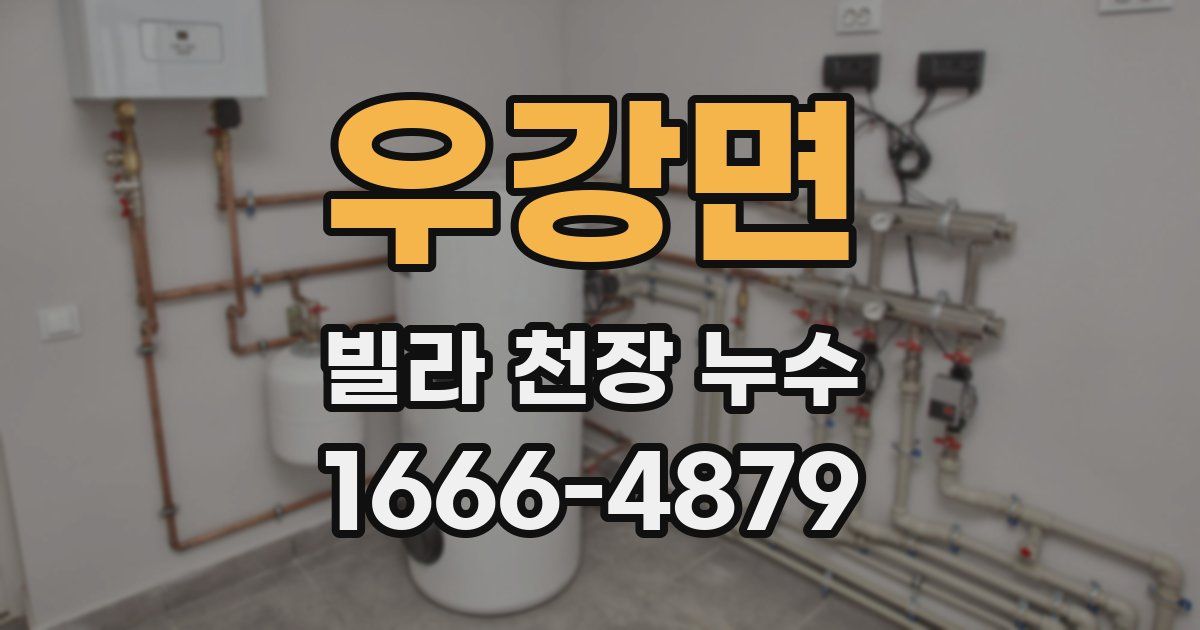우강면 빌라 천장 누수