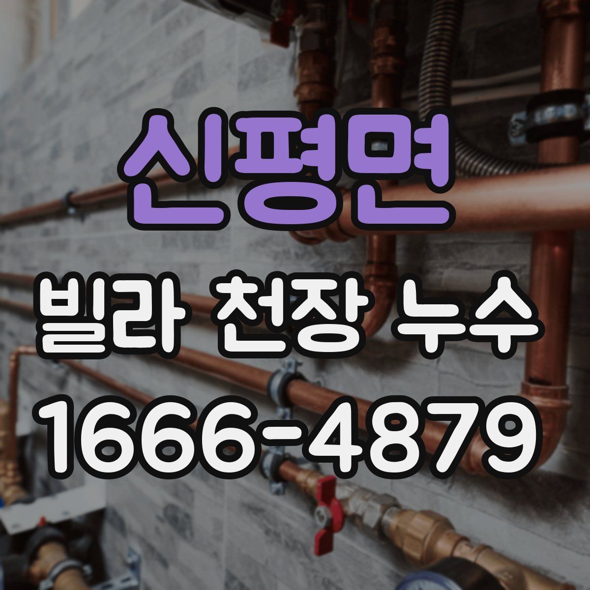 신평면 빌라 천장 누수