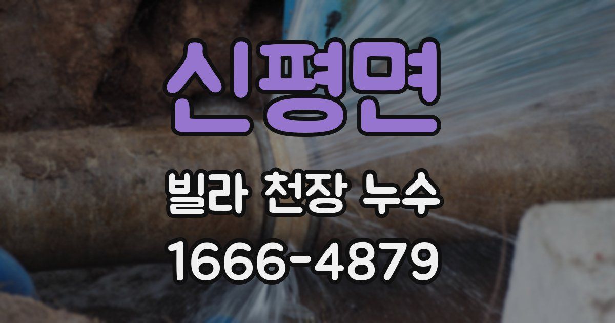 신평면 빌라 천장 누수
