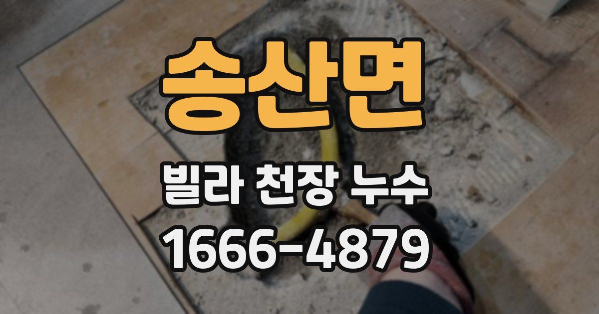 송산면 빌라 천장 누수