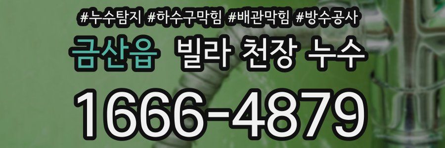 금산읍 빌라 천장 누수