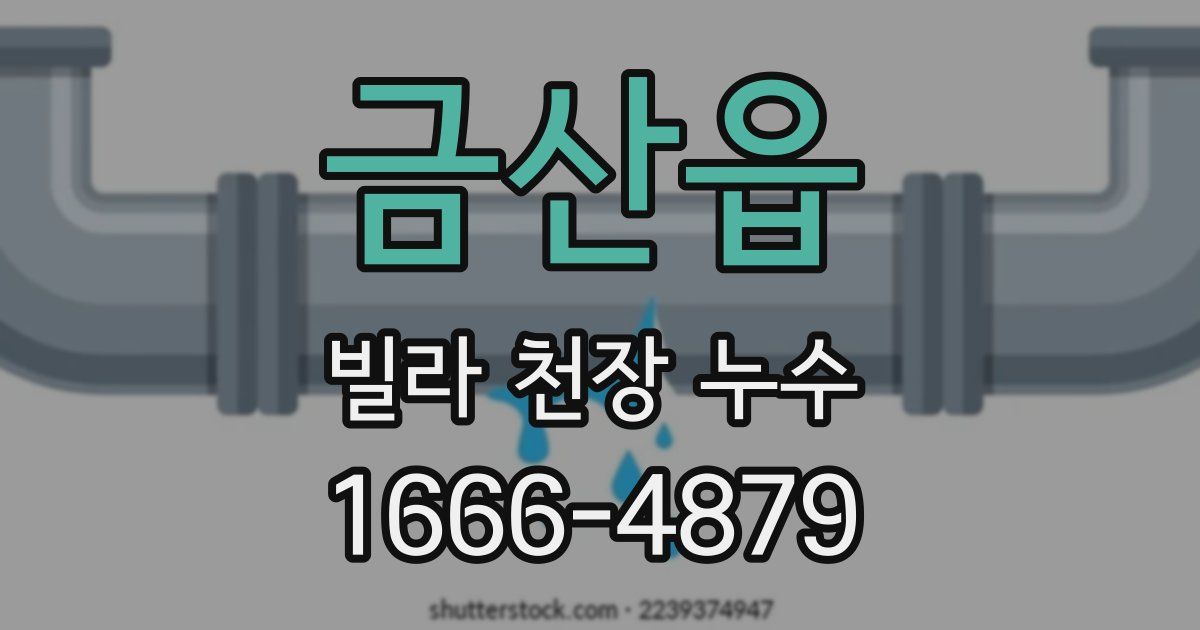 금산읍 빌라 천장 누수