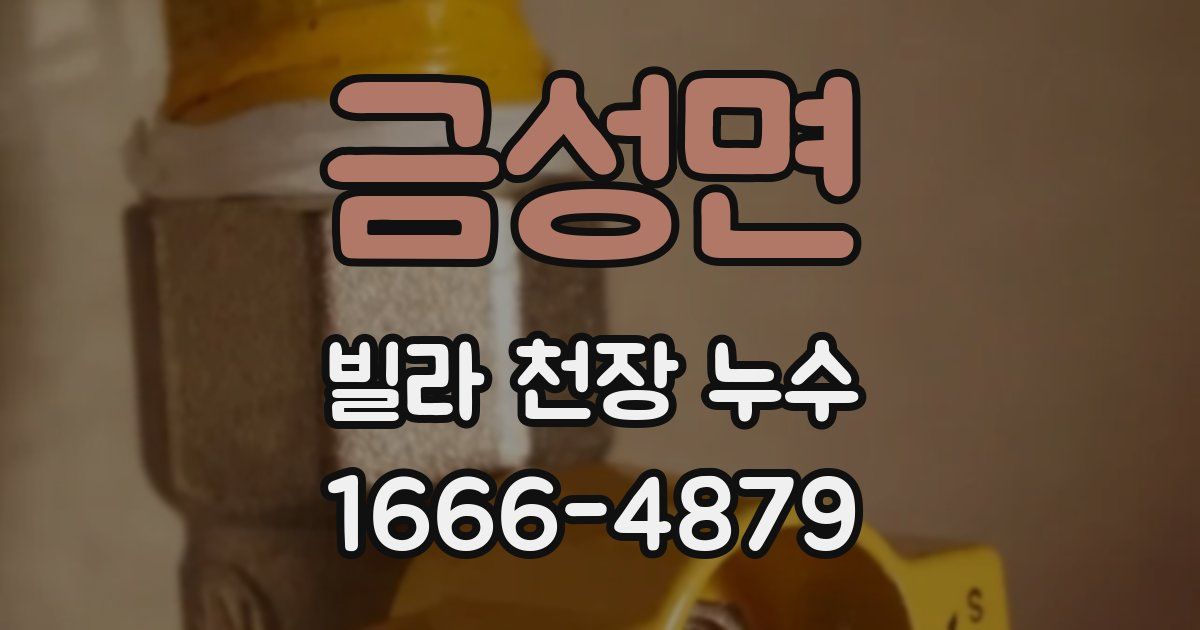 금성면 빌라 천장 누수