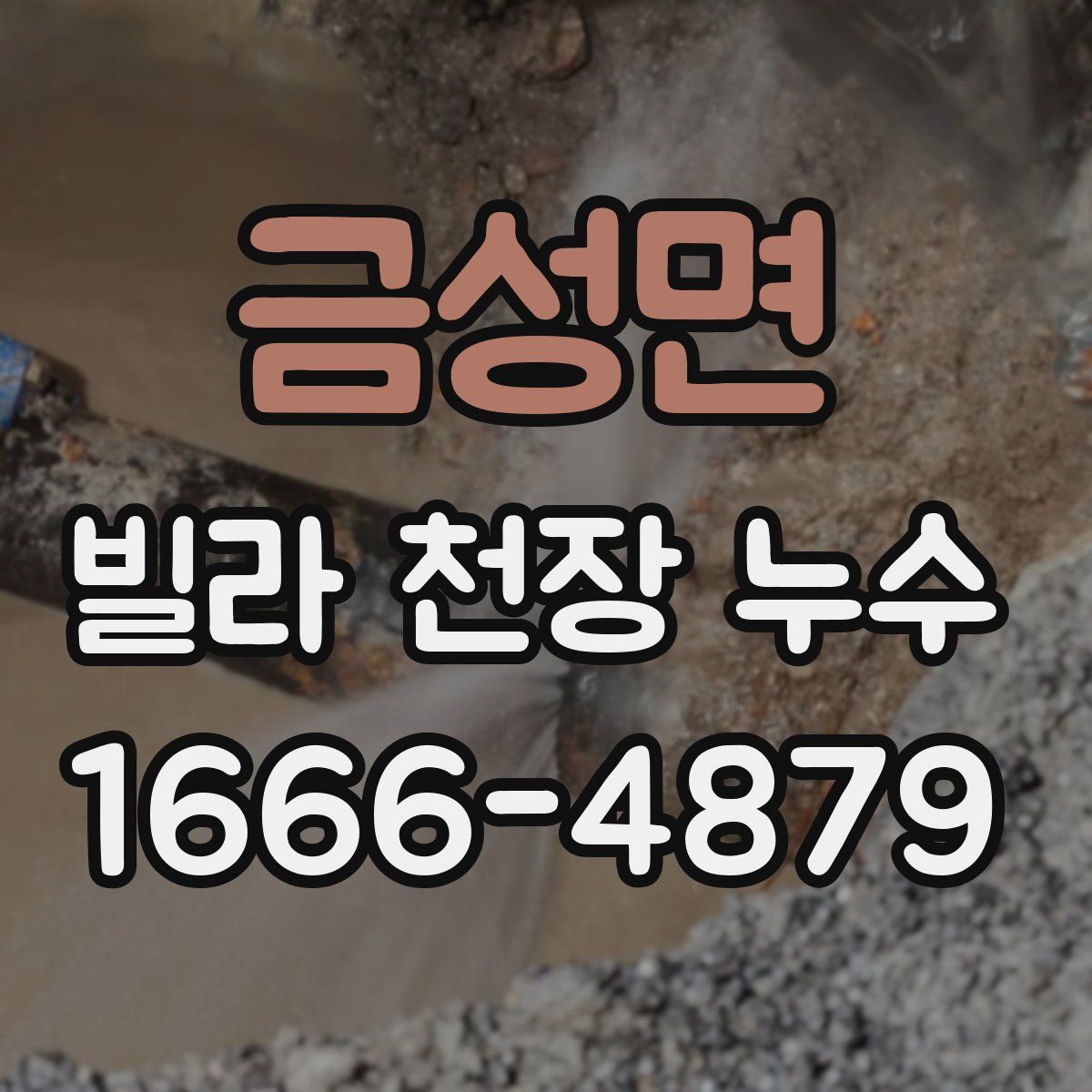 금성면 빌라 천장 누수