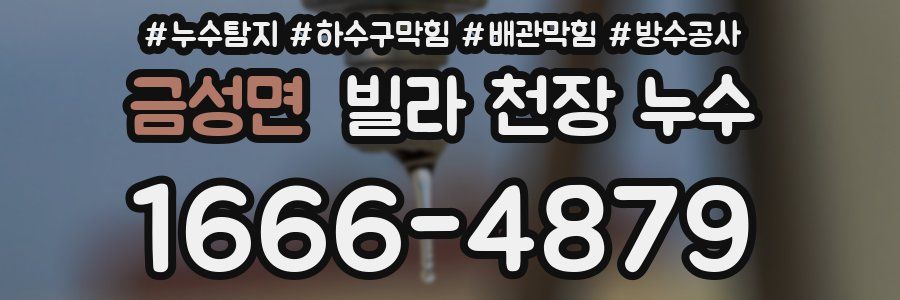금성면 빌라 천장 누수