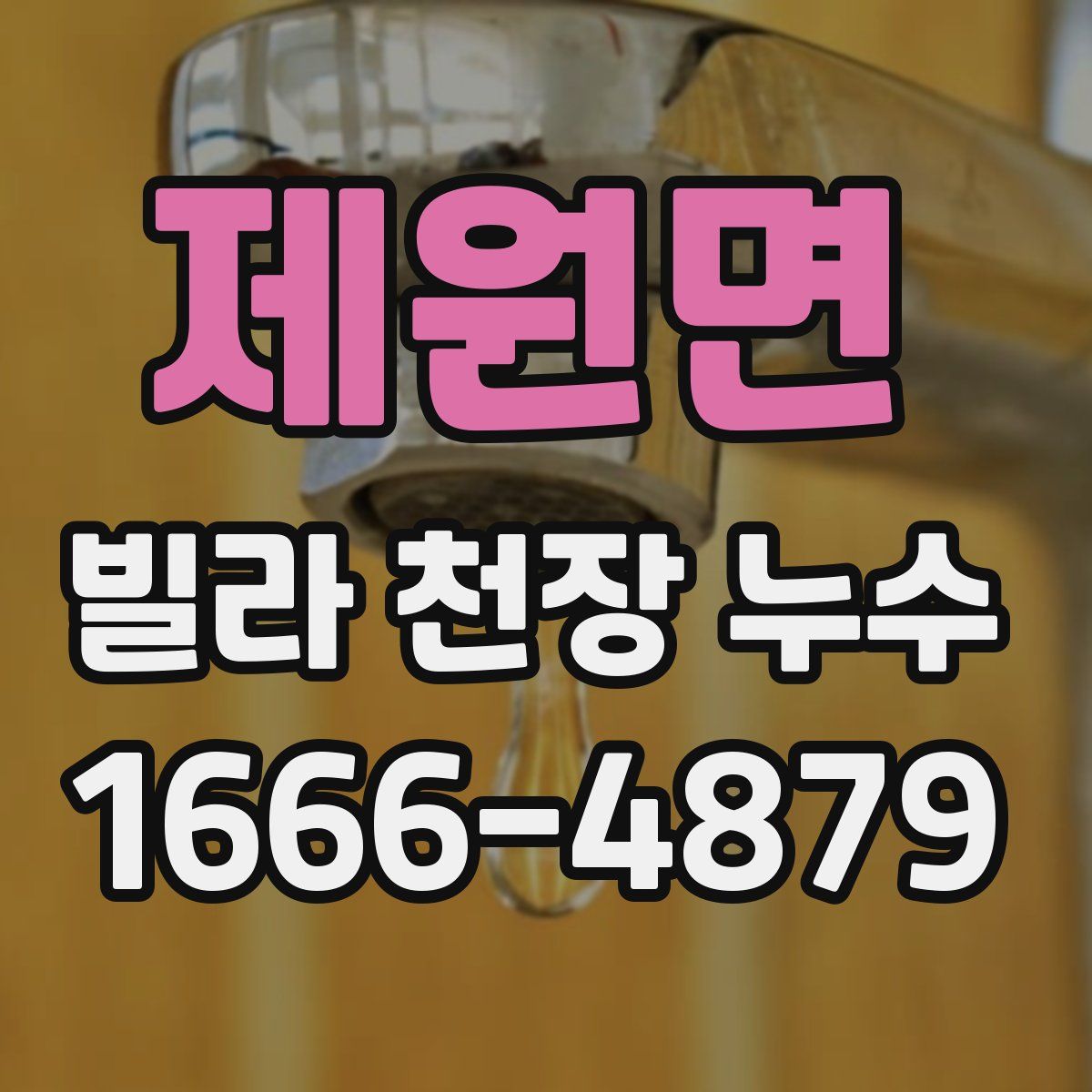 제원면 빌라 천장 누수