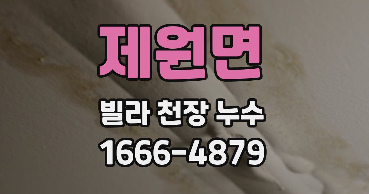 제원면 빌라 천장 누수