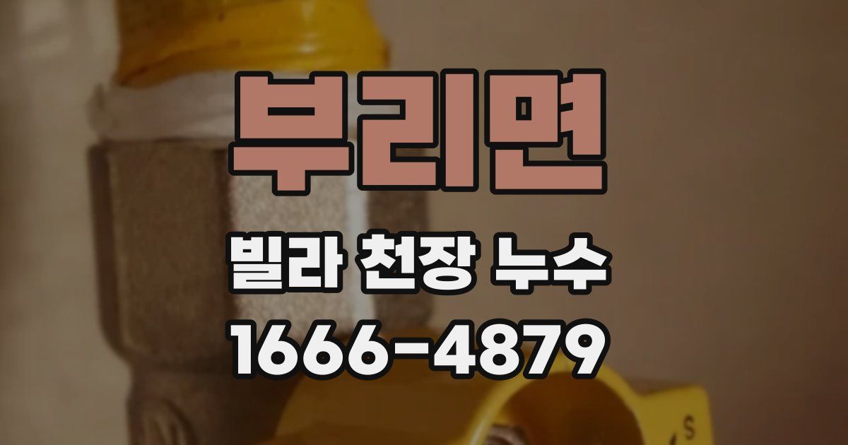 부리면 빌라 천장 누수