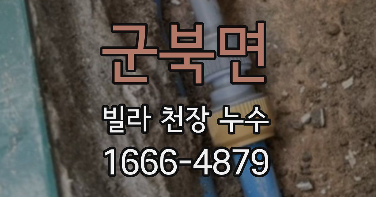 군북면 빌라 천장 누수