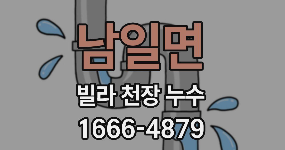 남일면 빌라 천장 누수