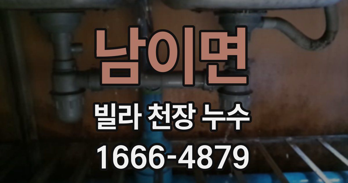 남이면 빌라 천장 누수