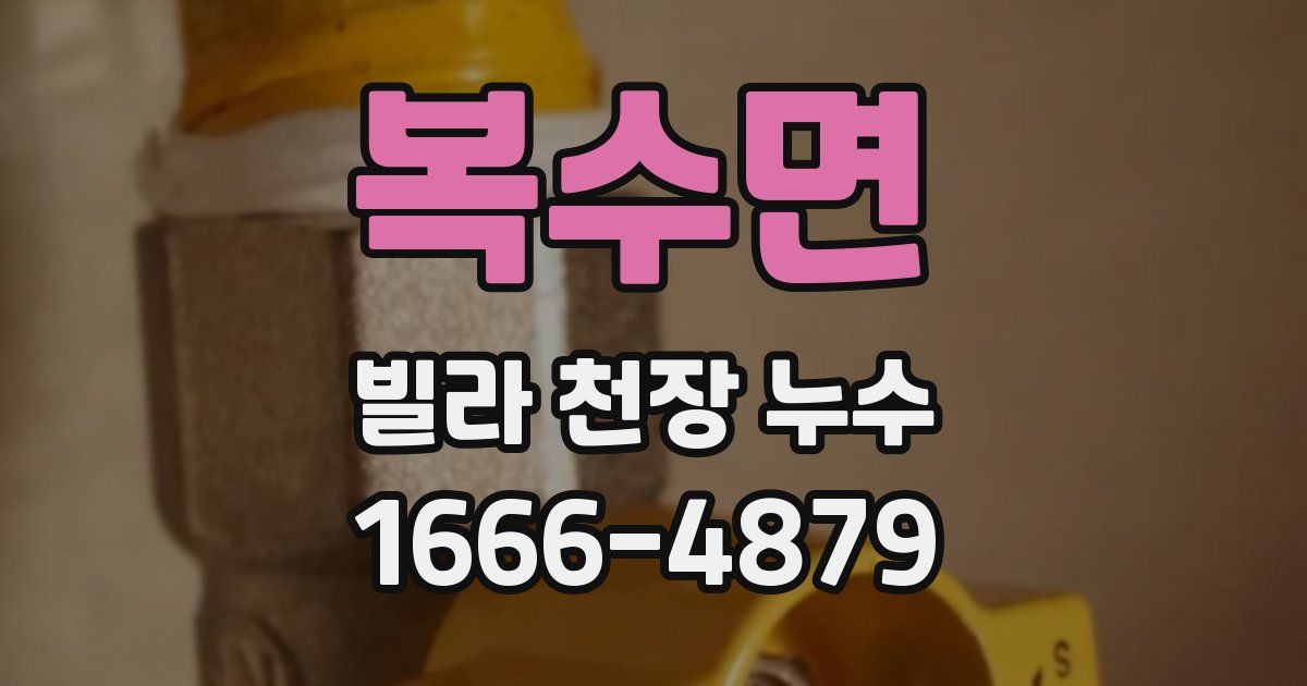 복수면 빌라 천장 누수
