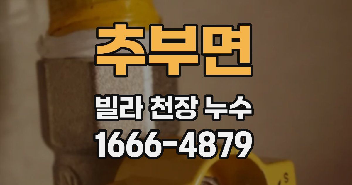 추부면 빌라 천장 누수
