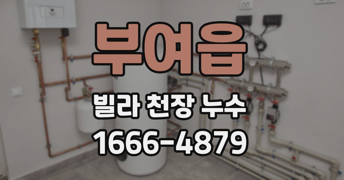 부여읍 빌라 천장 누수