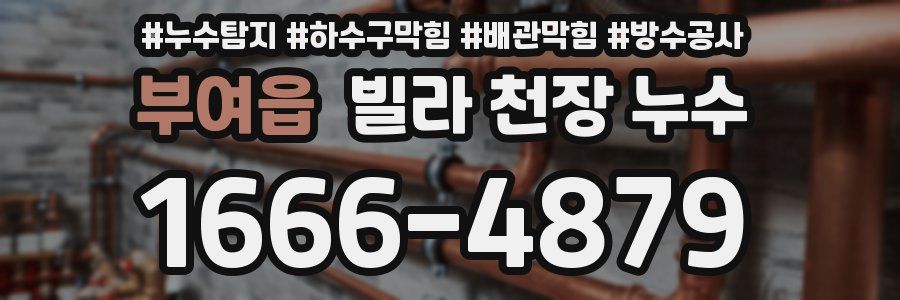 부여읍 빌라 천장 누수