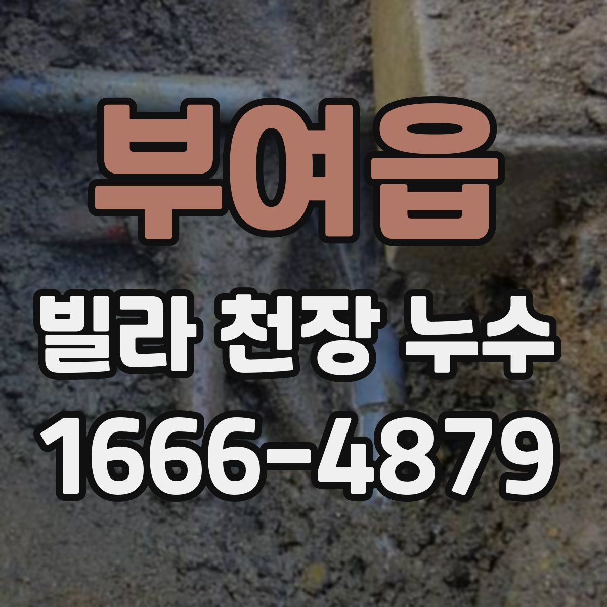 부여읍 빌라 천장 누수