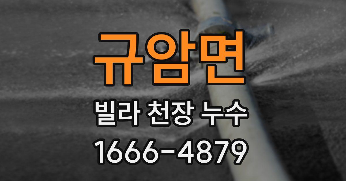 규암면 빌라 천장 누수