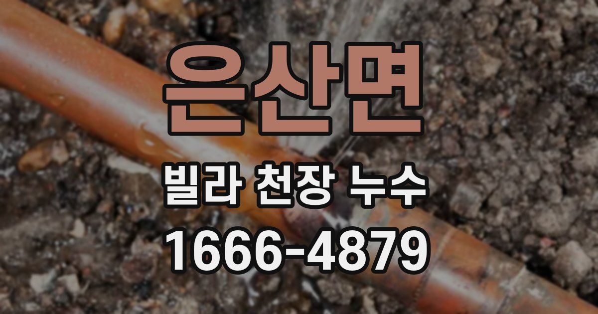 은산면 빌라 천장 누수