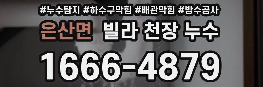 은산면 빌라 천장 누수