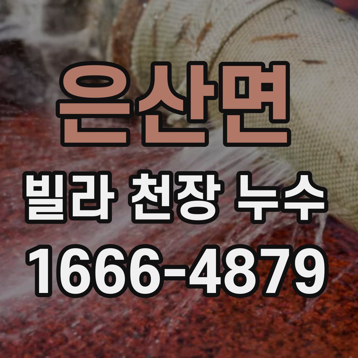 은산면 빌라 천장 누수