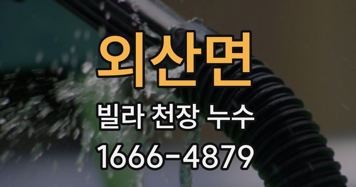 외산면 빌라 천장 누수