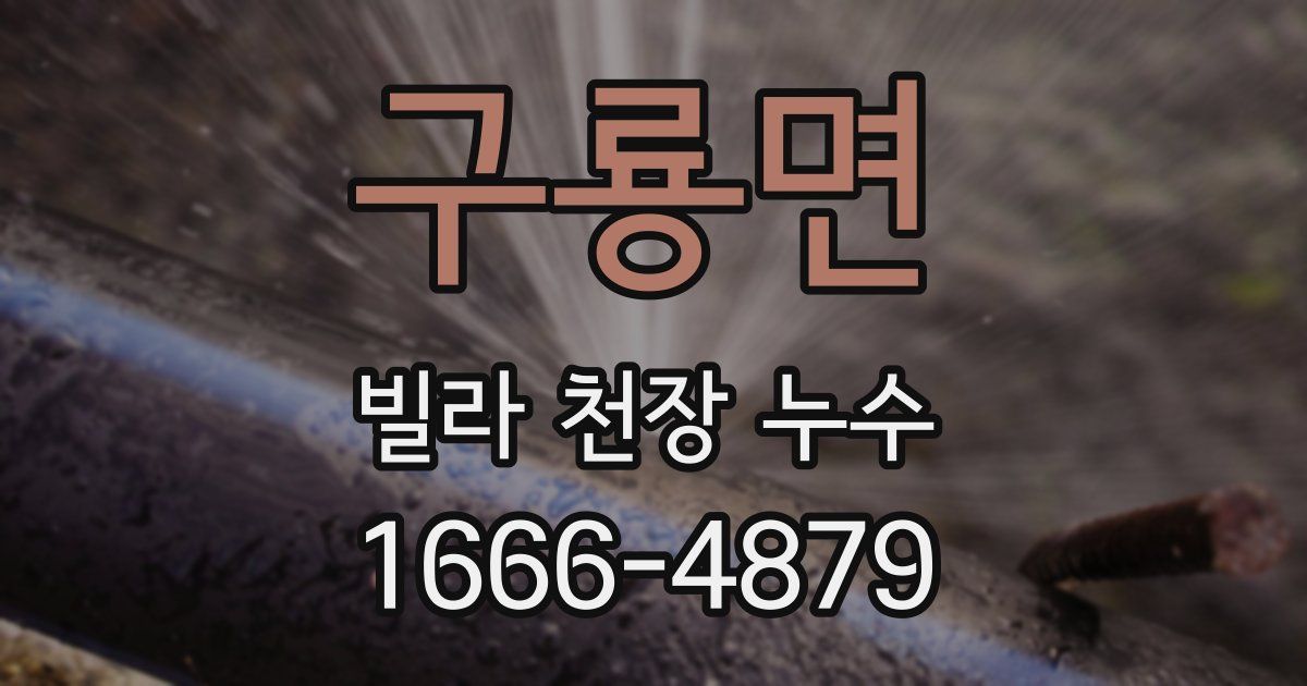 구룡면 빌라 천장 누수