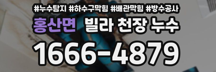 홍산면 빌라 천장 누수