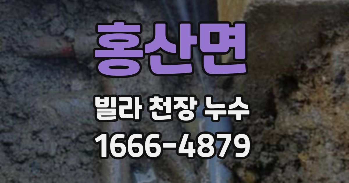 홍산면 빌라 천장 누수