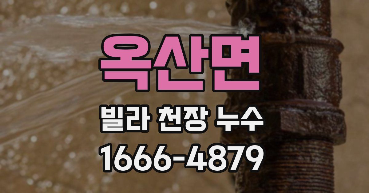 옥산면 빌라 천장 누수