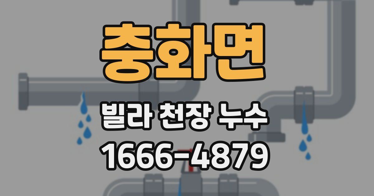 충화면 빌라 천장 누수
