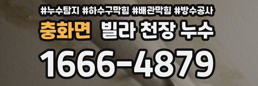 충화면 빌라 천장 누수