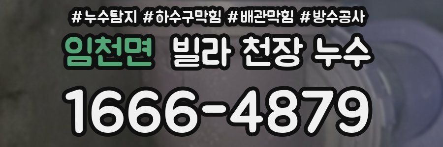 임천면 빌라 천장 누수