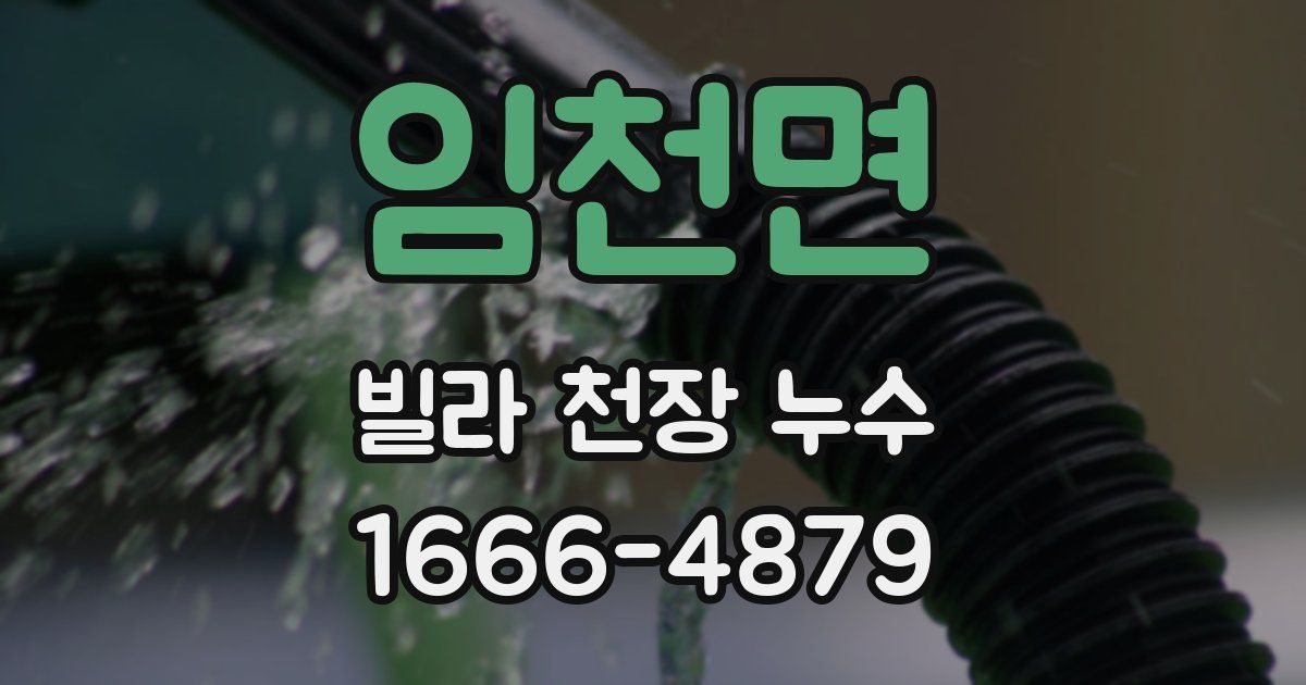 임천면 빌라 천장 누수
