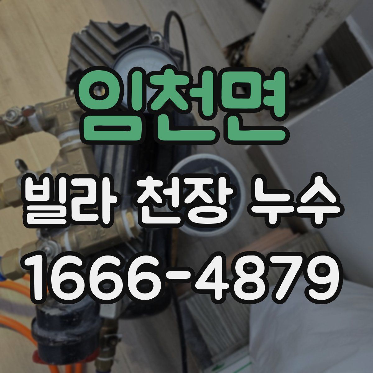 임천면 빌라 천장 누수