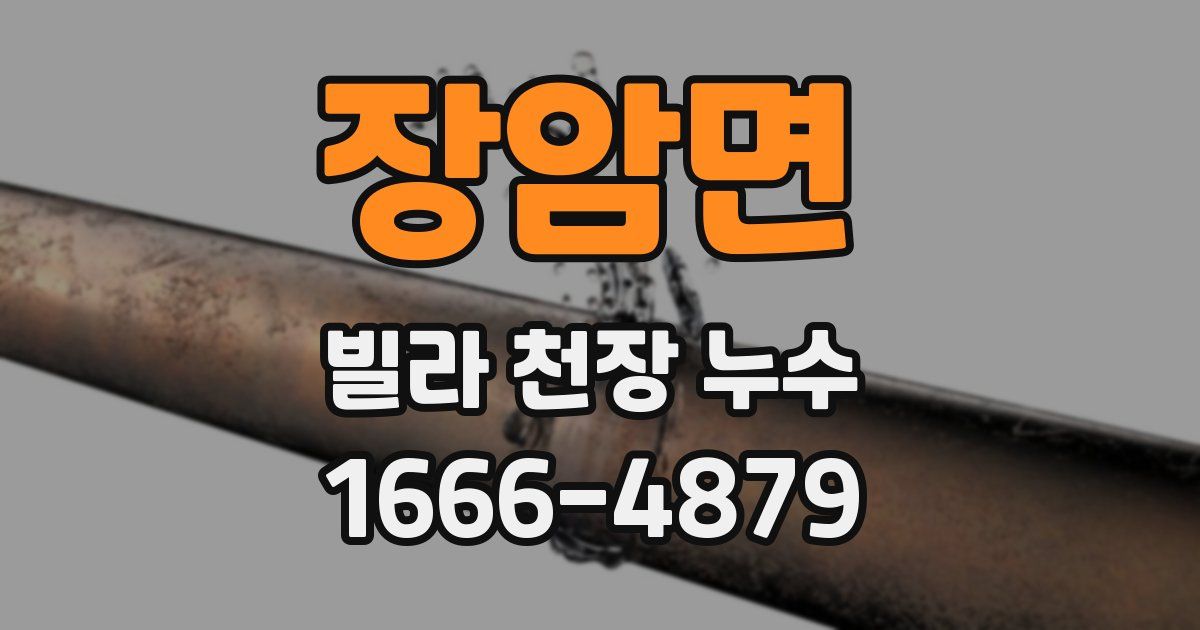 장암면 빌라 천장 누수