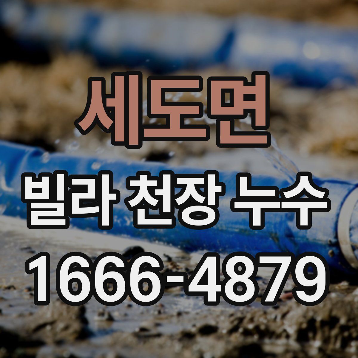 세도면 빌라 천장 누수