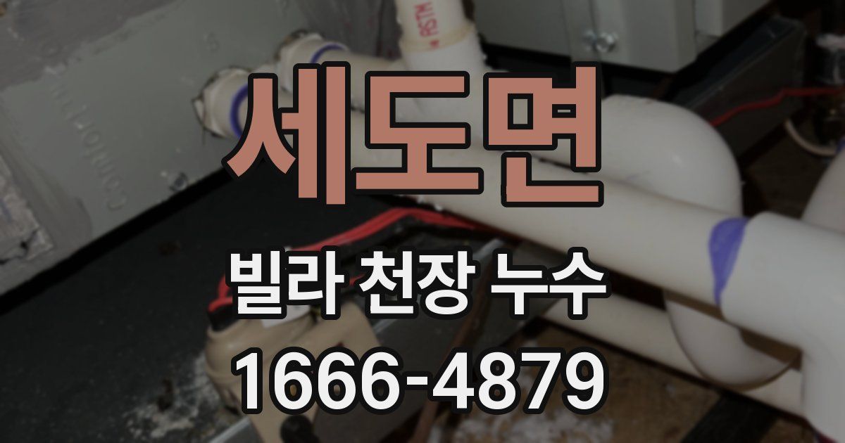 세도면 빌라 천장 누수