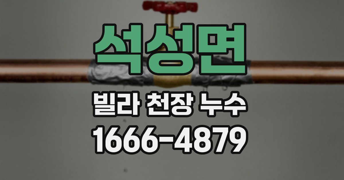 석성면 빌라 천장 누수