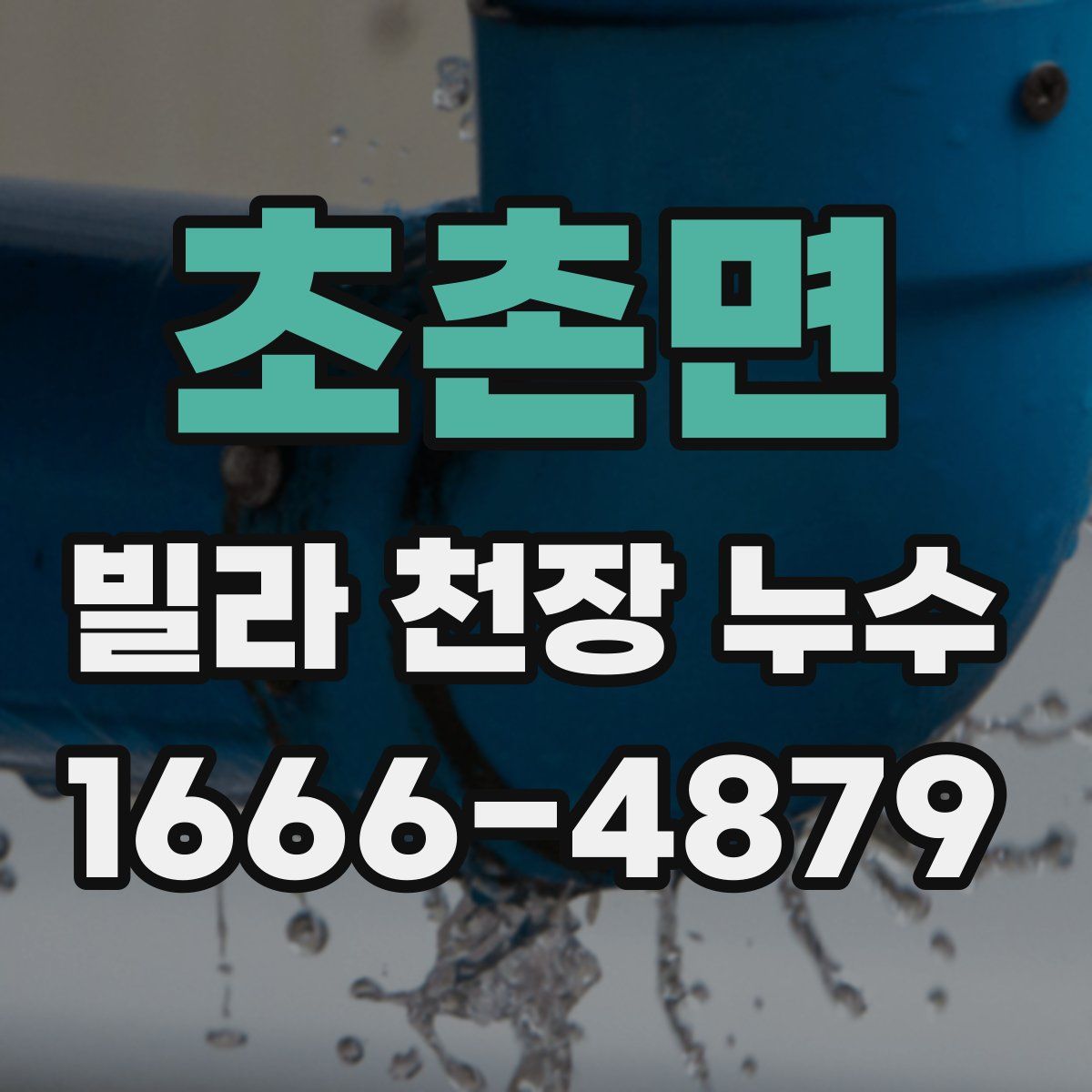 초촌면 빌라 천장 누수