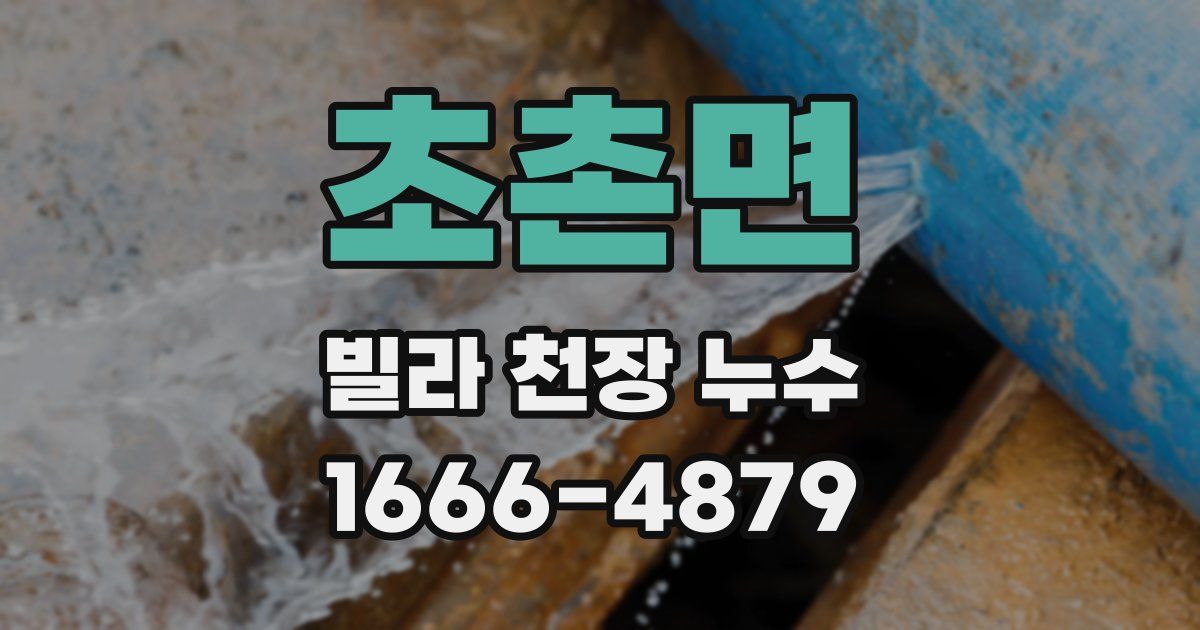 초촌면 빌라 천장 누수