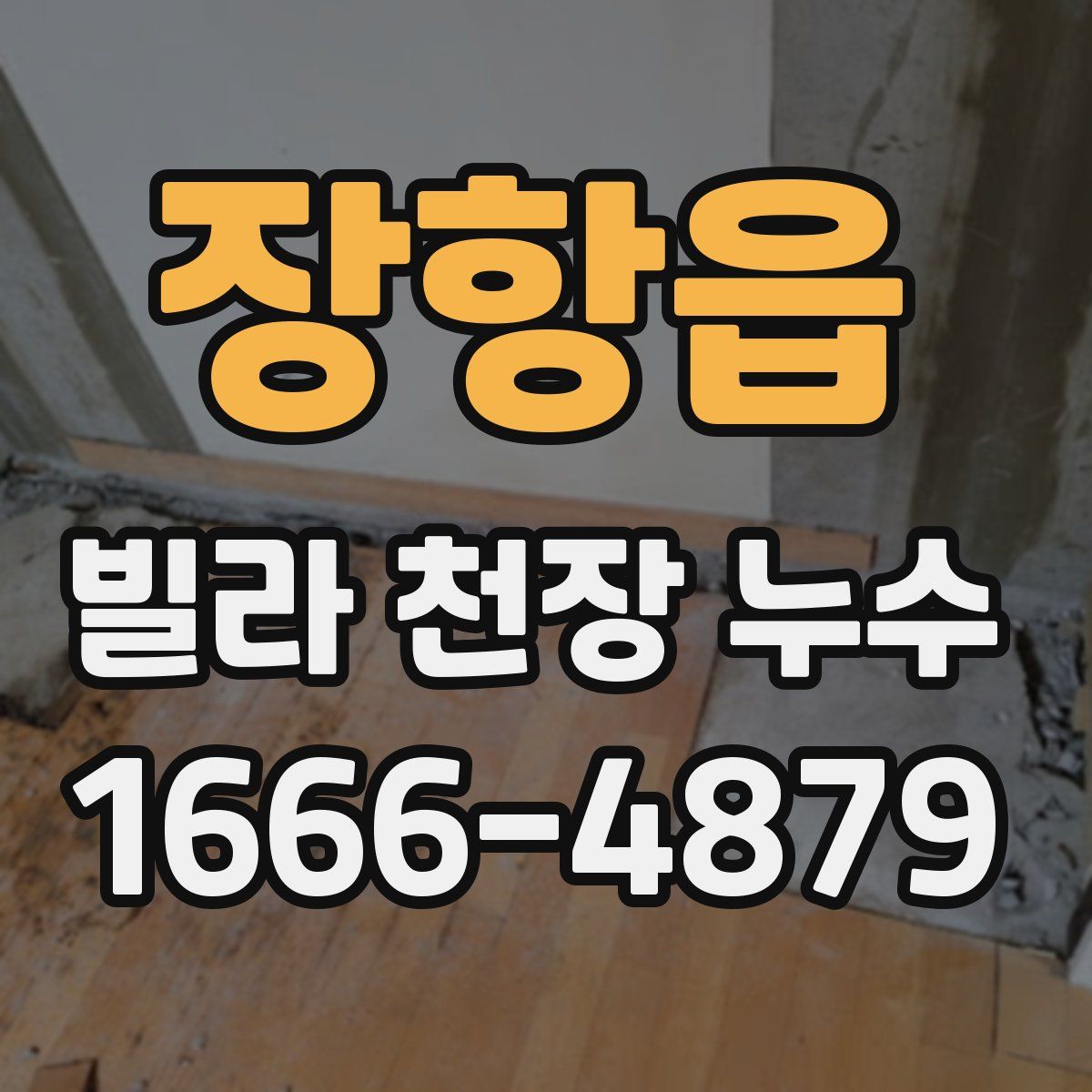 장항읍 빌라 천장 누수