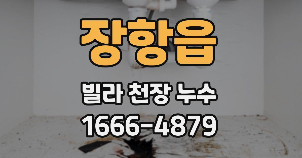장항읍 빌라 천장 누수