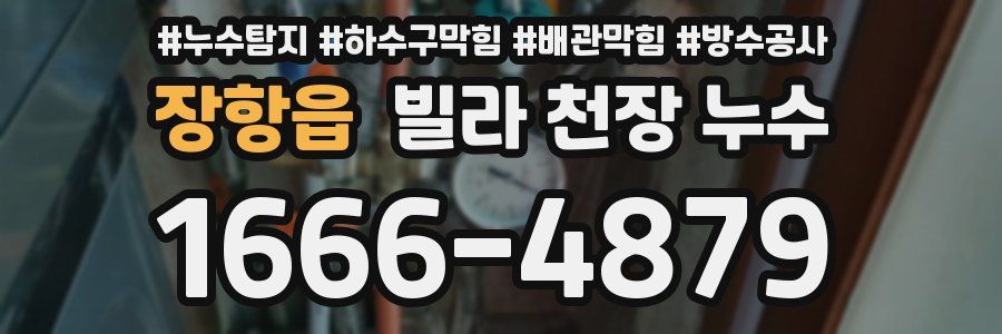 장항읍 빌라 천장 누수