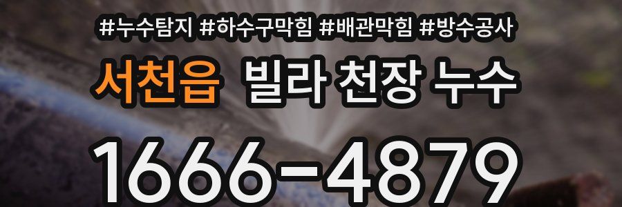 서천읍 빌라 천장 누수