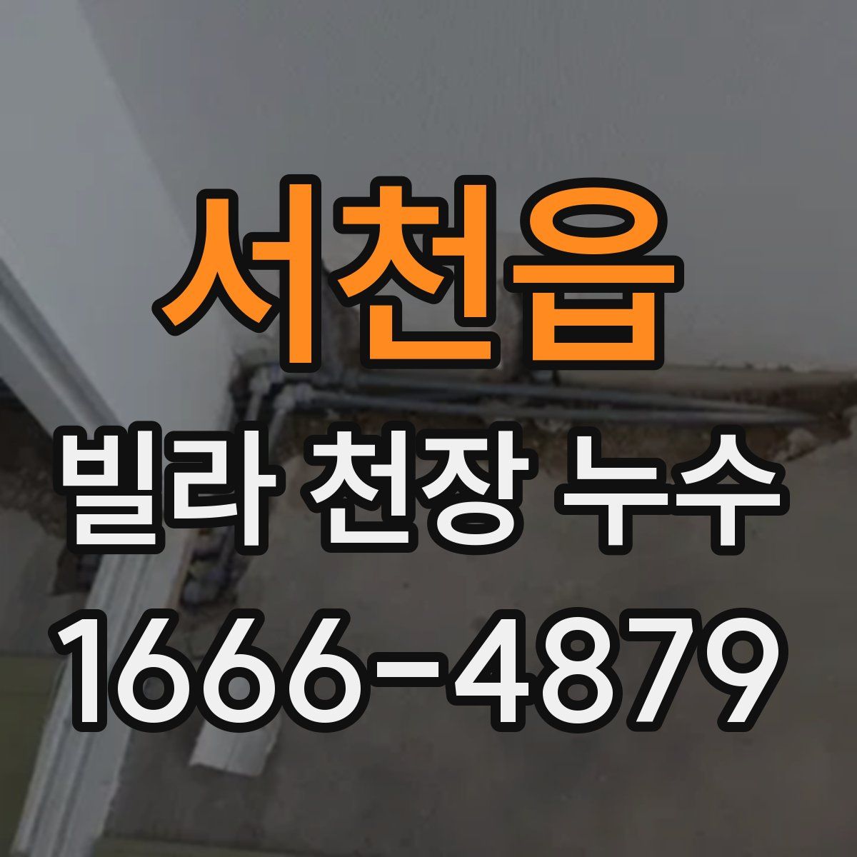서천읍 빌라 천장 누수