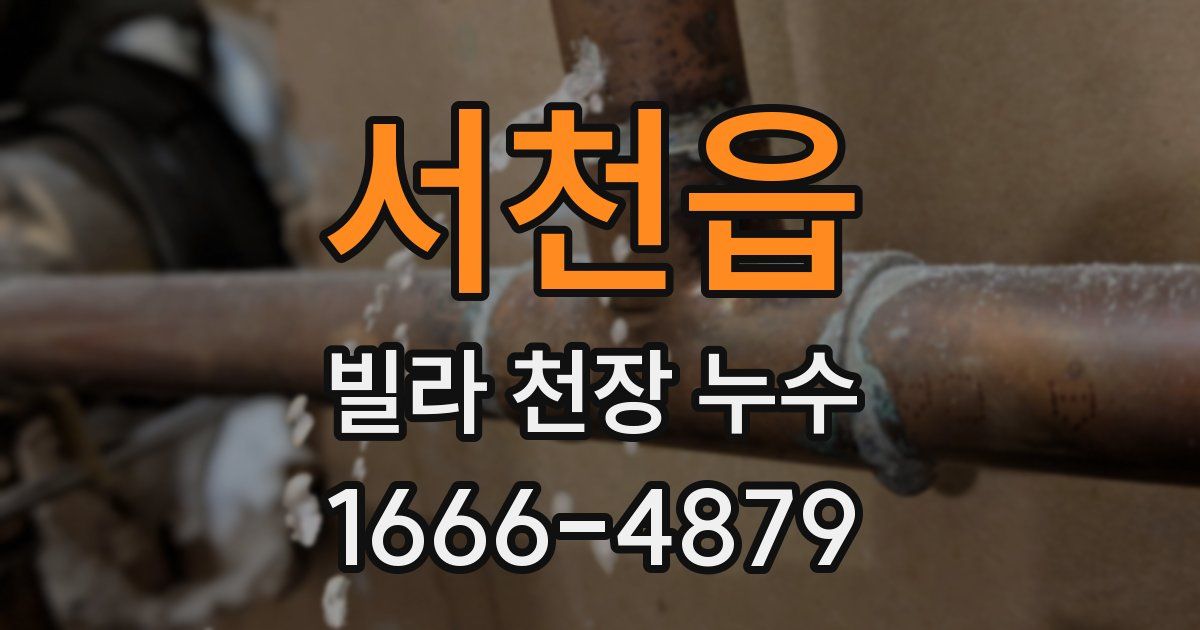 서천읍 빌라 천장 누수