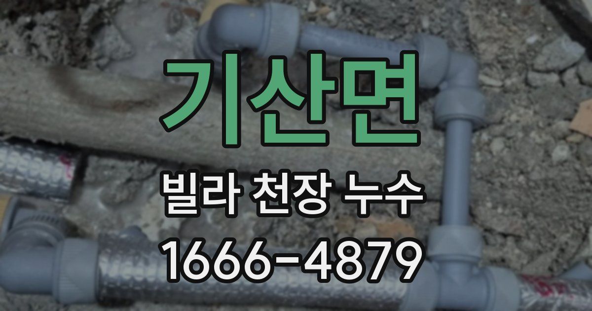 기산면 빌라 천장 누수