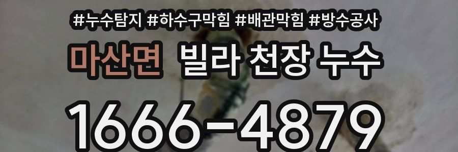 마산면 빌라 천장 누수